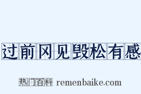 过前冈见毁松有感是什么意思的图片
